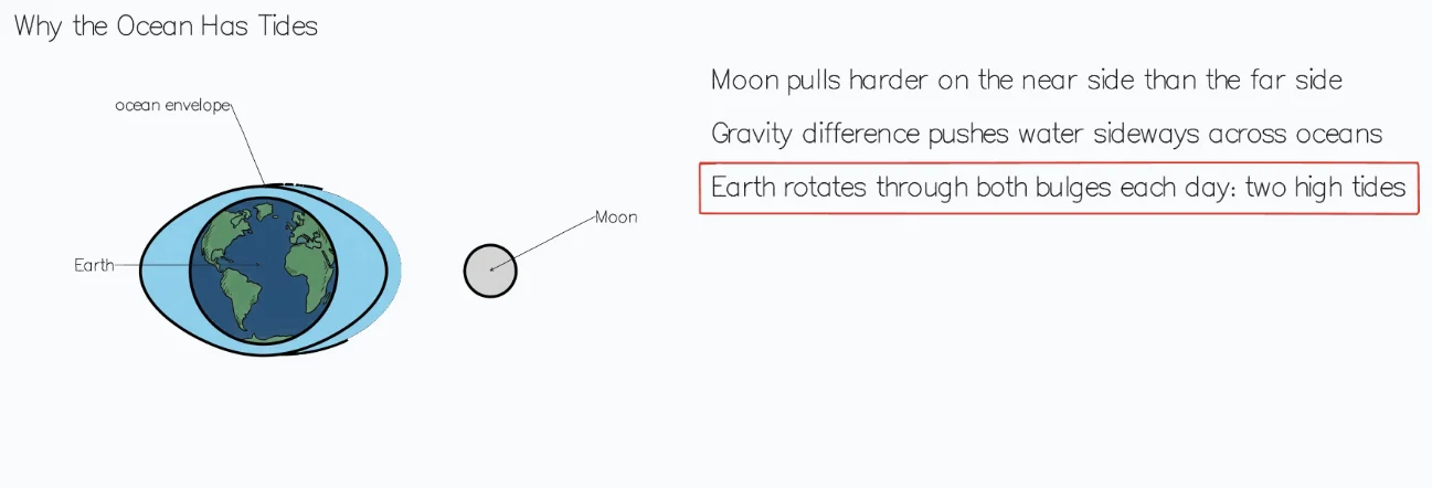 Whiteboard drawing of Earth inside an oval of ocean stretched toward the Moon, making two tidal bulges.